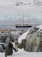 Lord Nelson in the Antarctic